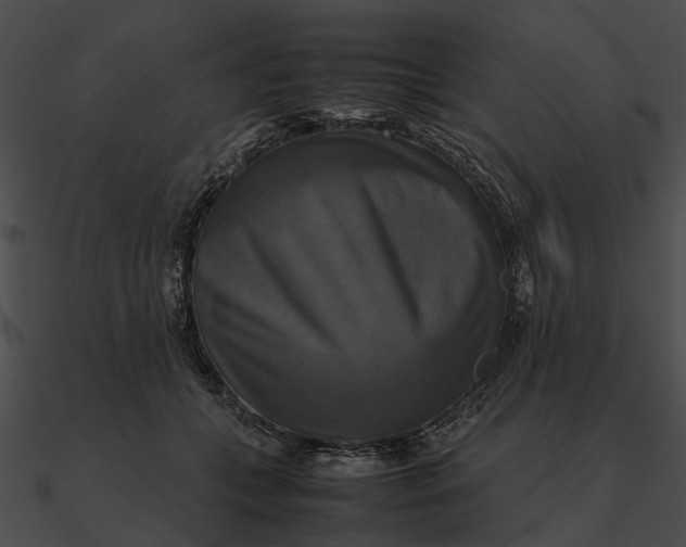 X0000090490559200708031149