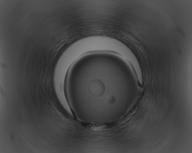 X0000090490560200708031149