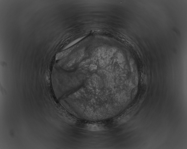 X0000090490561200708031149