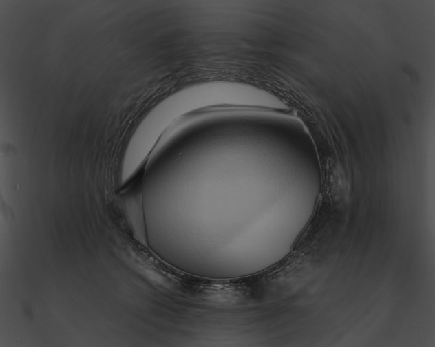 X0000090490562200708031149