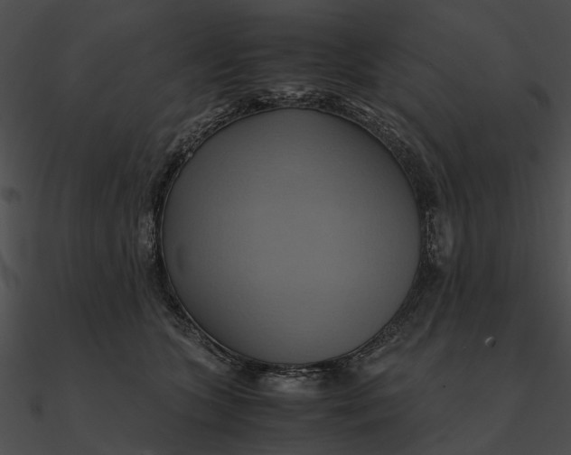 X0000090490563200708031149