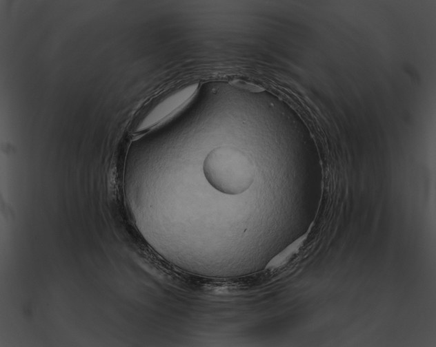 X0000090490564200708031149