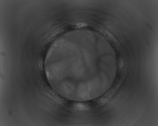 X0000090490565200708031149