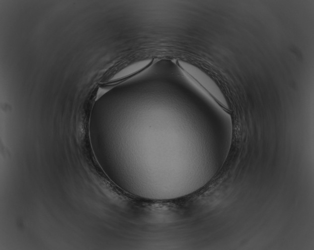 X0000090490566200708031149