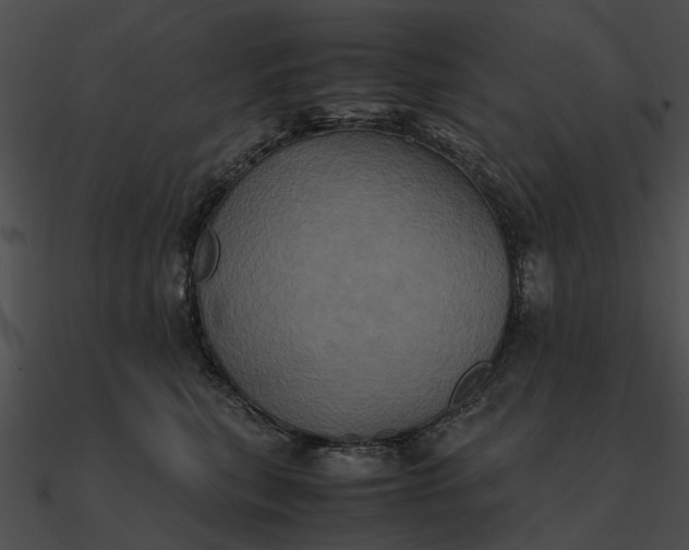 X0000090490567200708031149