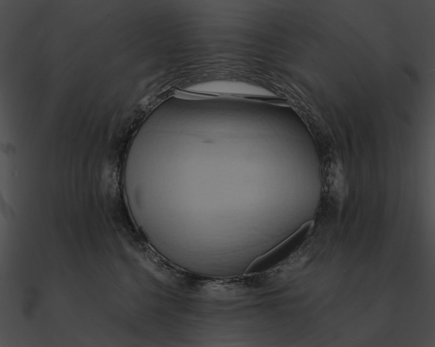 X0000090490568200708031149