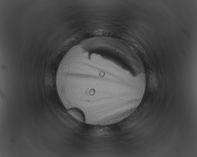 X0000090490569200708031149