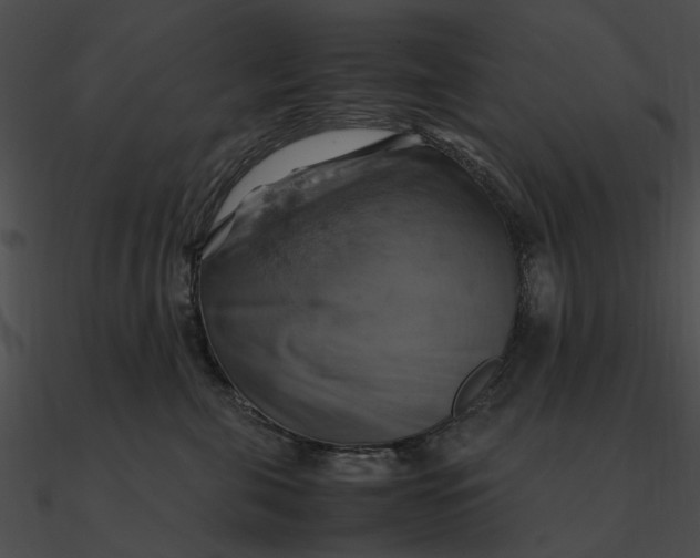 X0000090490571200708031149