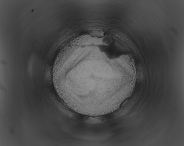 X0000090490573200708031149