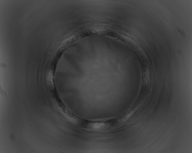 X0000090490575200708031149