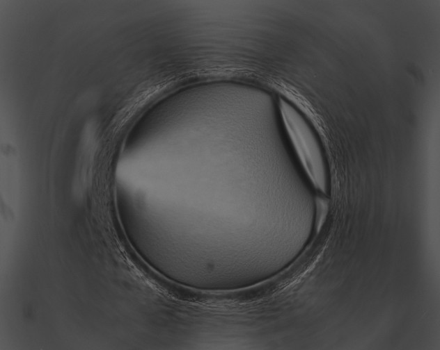 X0000090490577200708031148