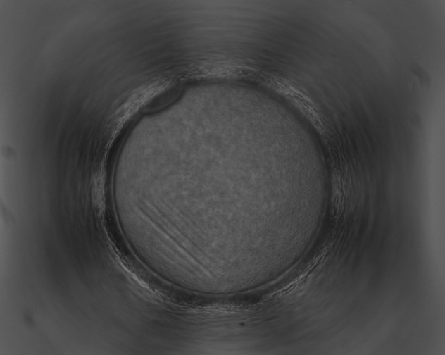 X0000090490578200708031148