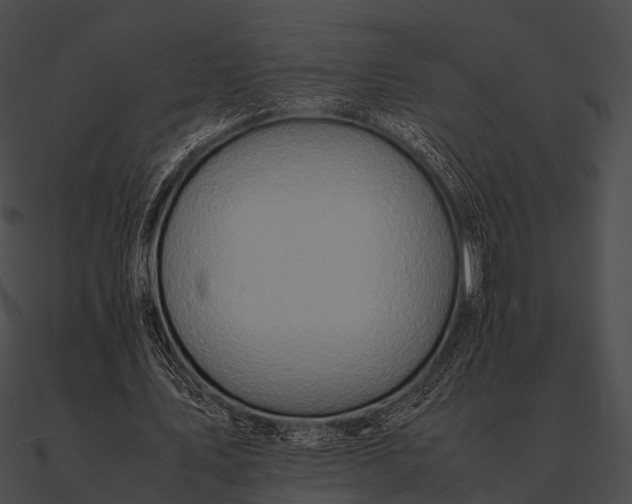 X0000090490579200708031148