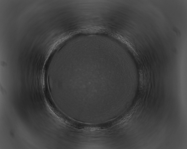 X0000090490582200708031148