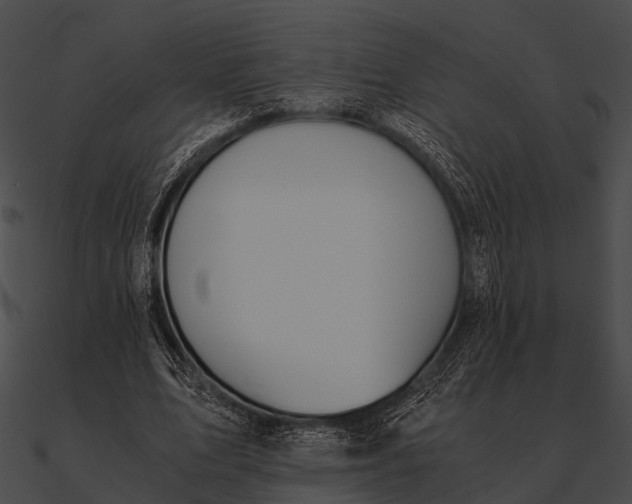 X0000090490583200708031148