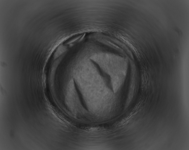 X0000090490584200708031148