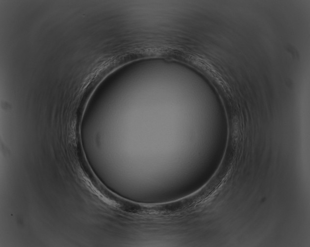 X0000090490585200708031148