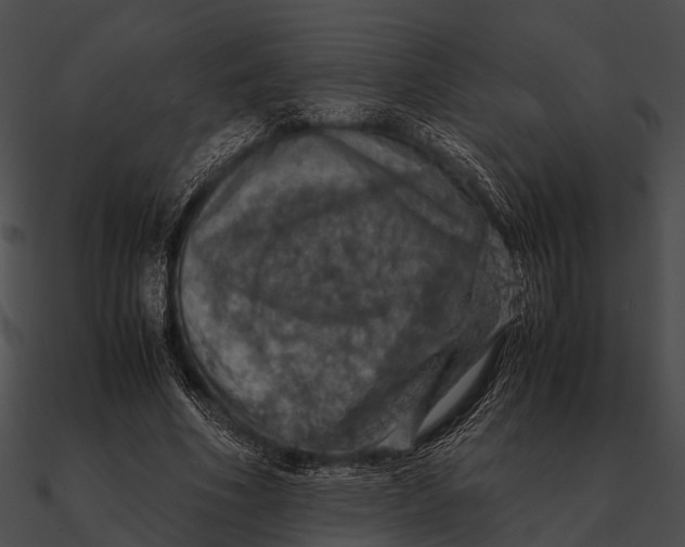 X0000090490586200708031148