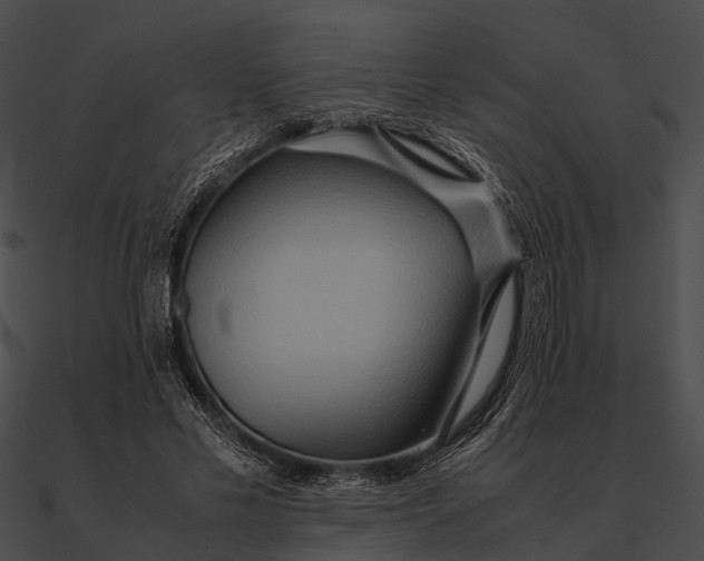 X0000090490589200708031148