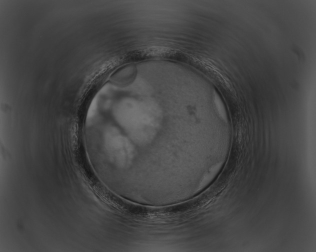 X0000090490591200708031148