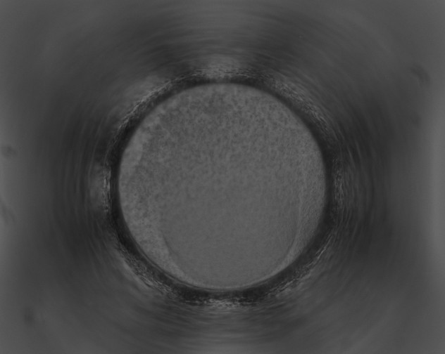 X0000090490592200708031148