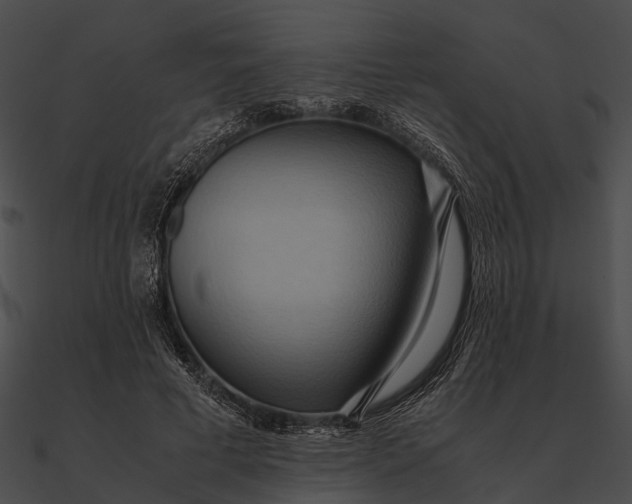 X0000090490593200708031148