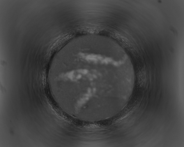 X0000090490594200708031148