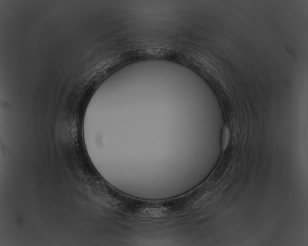 X0000090490595200708031148