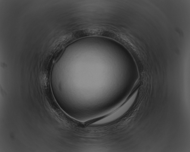 X0000090490597200708031148