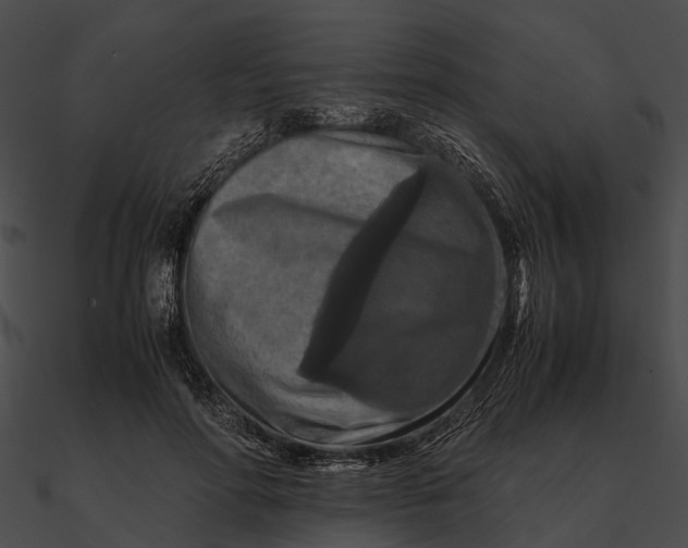 X0000090490598200708031148