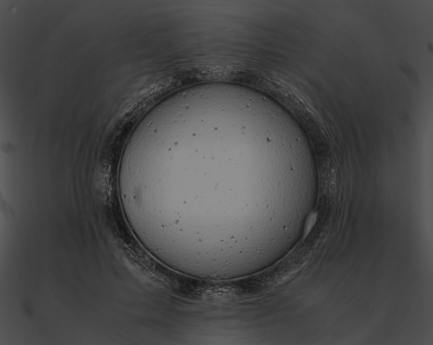 X0000090490599200708031148