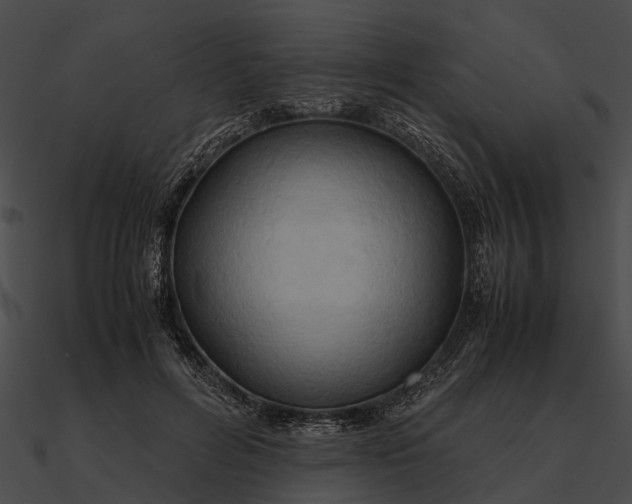 X0000090490600200708031148