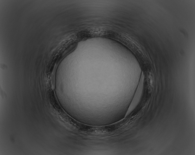 X0000090490601200708031148