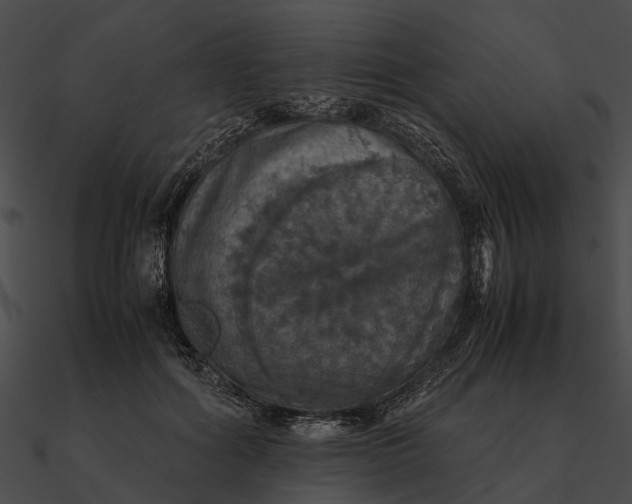 X0000090490602200708031148