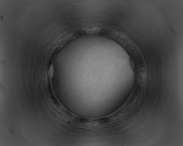 X0000090490604200708031148