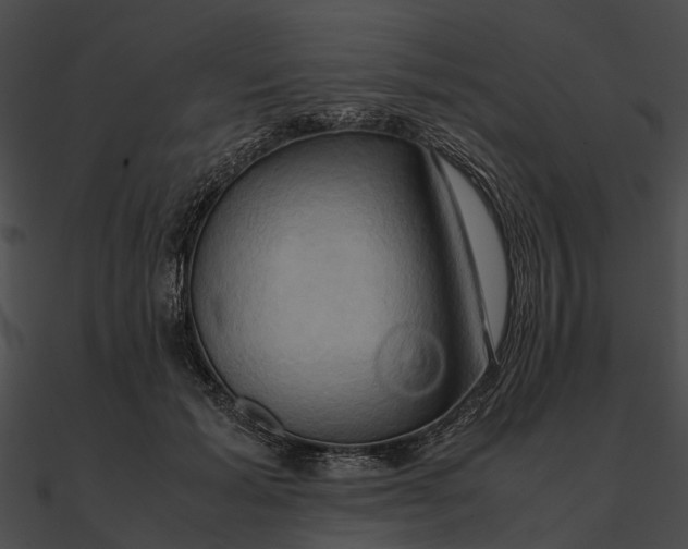 X0000090490605200708031148