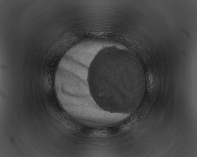 X0000090490606200708031148