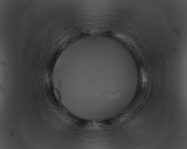 X0000090490607200708031148