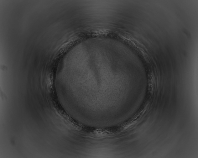 X0000090490608200708031148