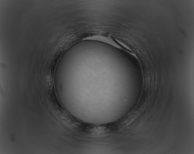 X0000090490609200708031148