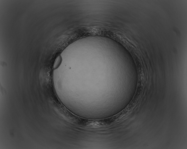 X0000090490611200708031148