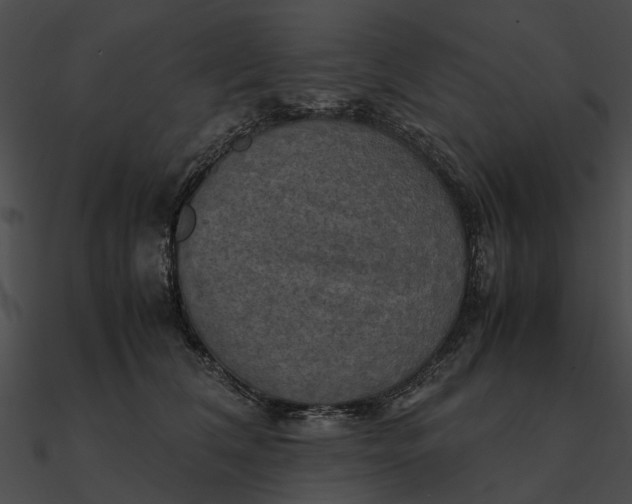 X0000090490612200708031148