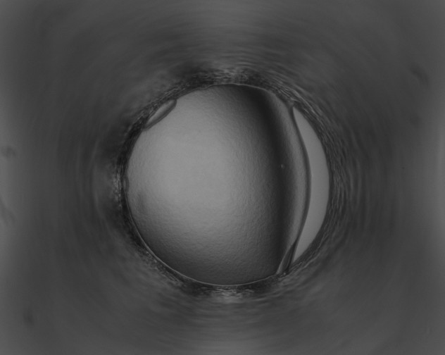 X0000090490613200708031148