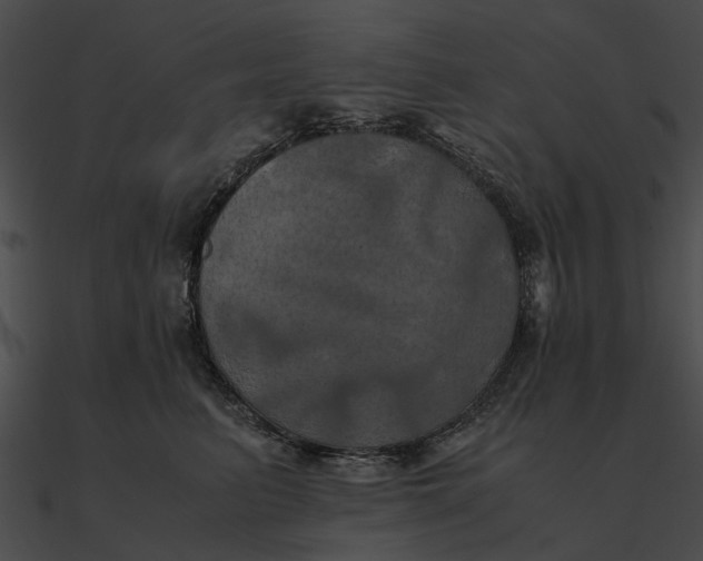 X0000090490615200708031148