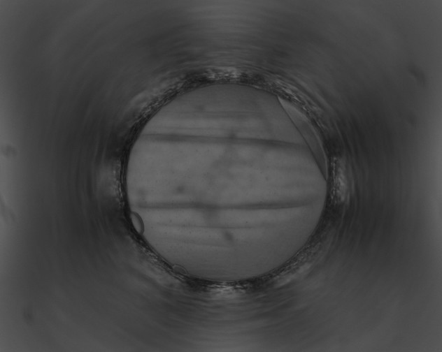 X0000090490616200708031148