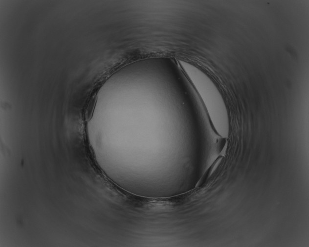 X0000090490617200708031148