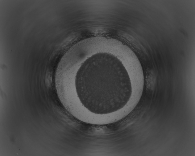 X0000090490618200708031148