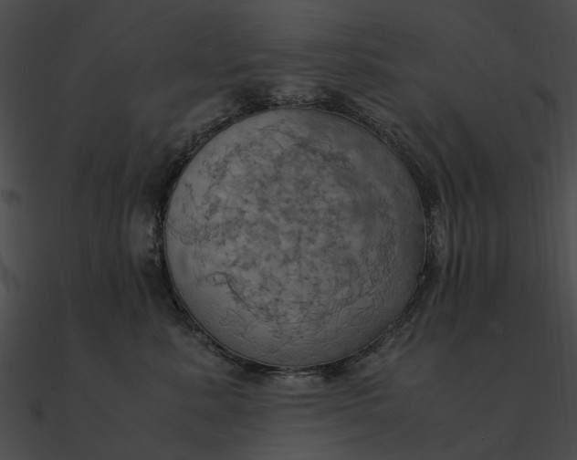 X0000090490619200708031148