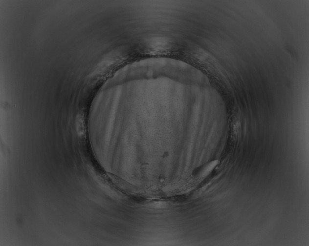 X0000090490620200708031148