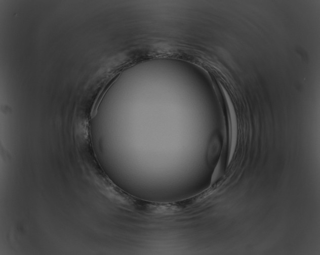 X0000090490621200708031148